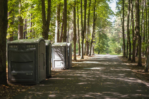 Portable Toilet Options We Offer in Parsons, WV